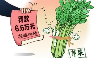夫妻俩卖20元芹菜被罚6万6