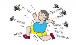 O型血更招蚊子是谣言